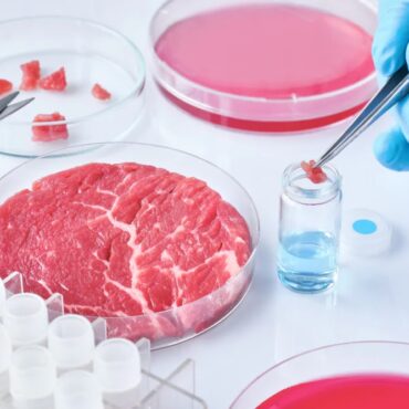 carne sintetica cibo futuro