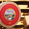 Mostra del Bitto 2025: il gusto valtellinese in versione olimpica