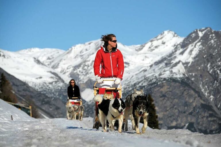 8. DOG SLEDDING