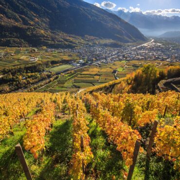 terrazzamenti valtellina