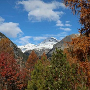 BORMIO giardino botanico alpino Rezia