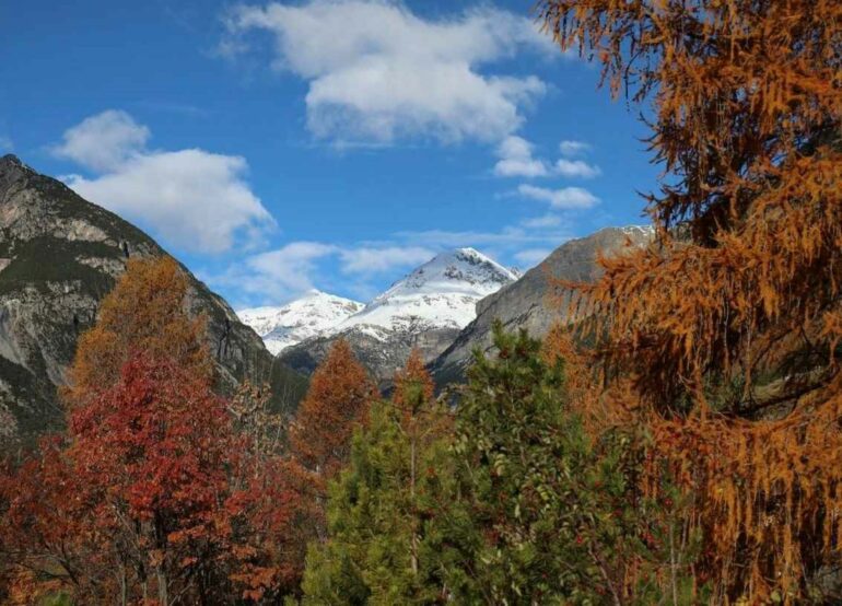 BORMIO giardino botanico alpino Rezia