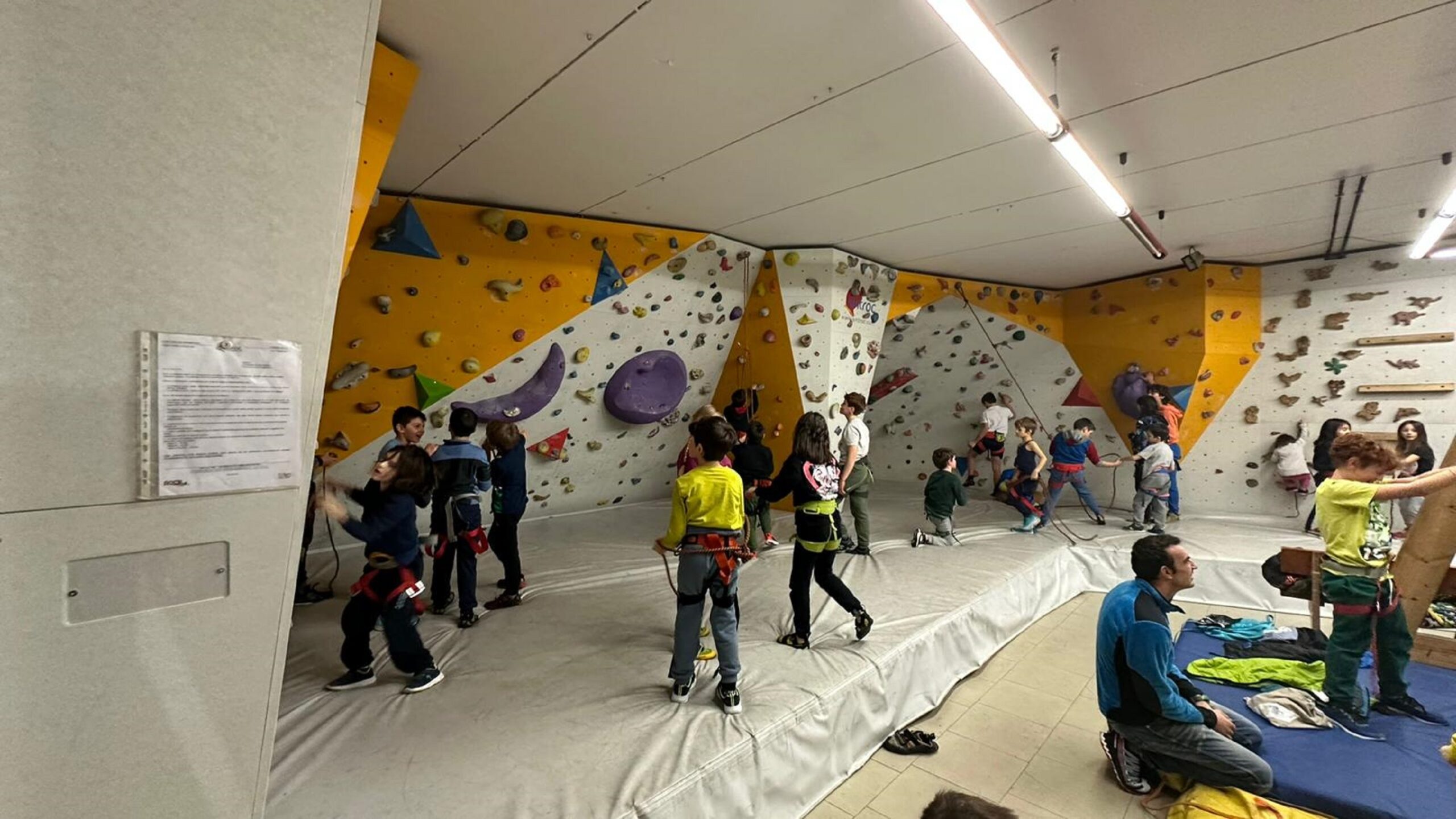 Arrampicata per tutti: al via gli Open Days dedicati a bambini e ragazzi  U14 - Prima la Valtellina