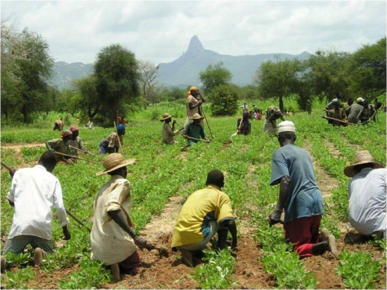 africa agricoltura