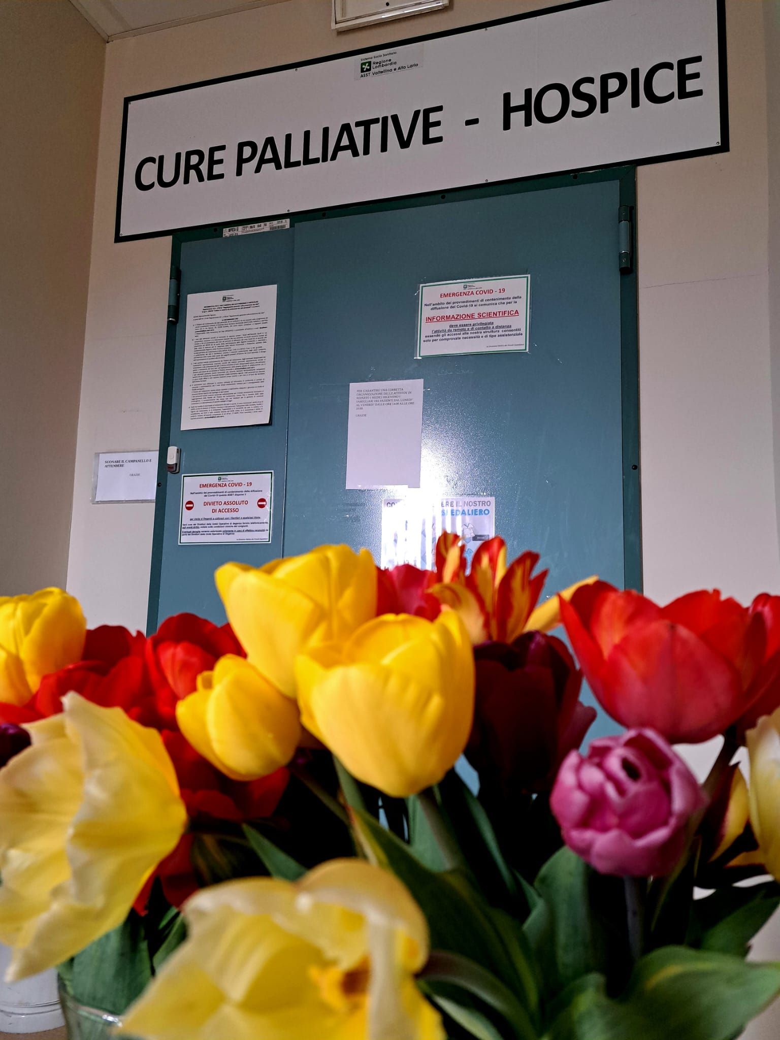 Cure palliative: 600 i malati terminali seguiti in provincia nel 2023 negli  Hospice di Morbegno e Sondalo e a domicilio | Radio TSN