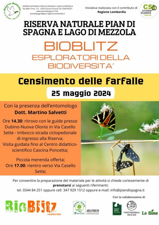 Bioblitz farfalle 25 maggio 2024