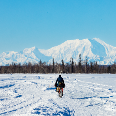 Bellini Alaska