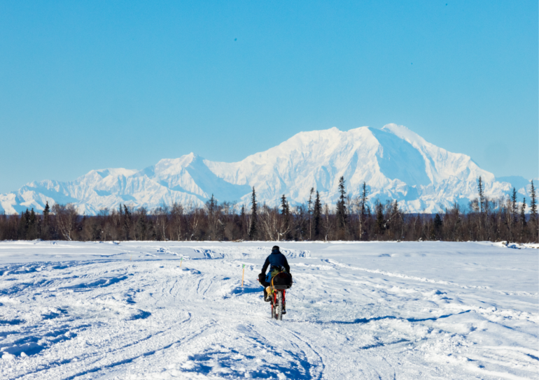 Bellini Alaska