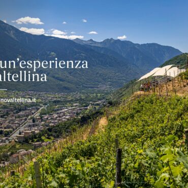 nuovo sito Strada del Vino Valtellina