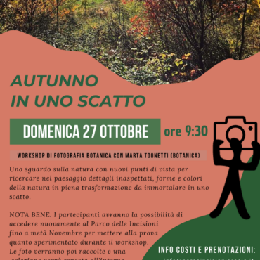 AUTUNNO IN UNO SCATTO