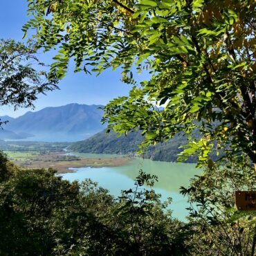 Comunicato della Riserva Naturale Regionale Pian di Spagna- Lago Mezzola