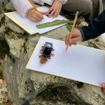 Un 2024 di successi per il Giardino botanico alpino “Rezia” di Bormio