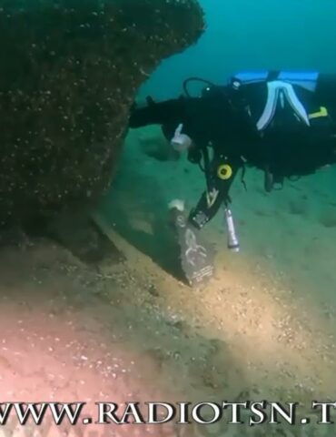 Sangue di Nettuno, il relitto di un’autobotte come cantina