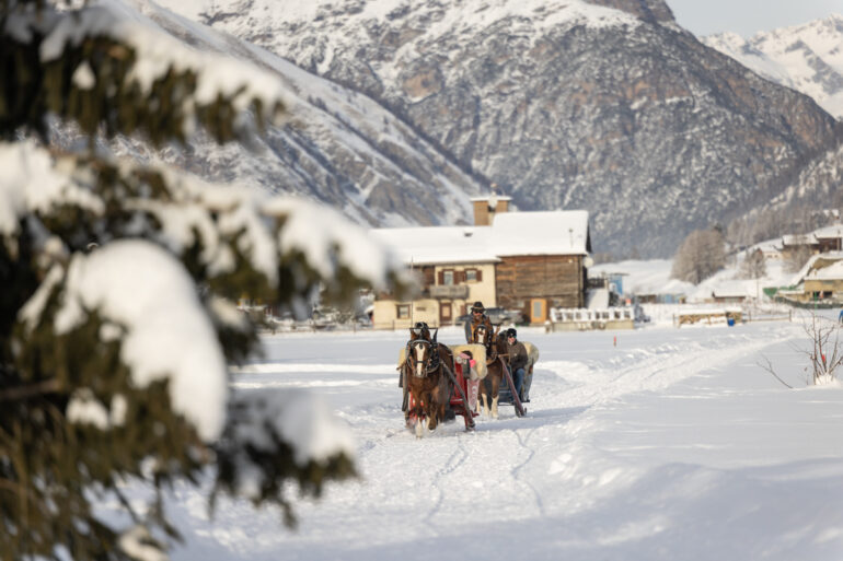 Livigno Slitta trainata da cavalli