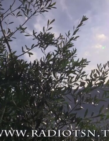 Indice del clima, Sondrio sempre più calda