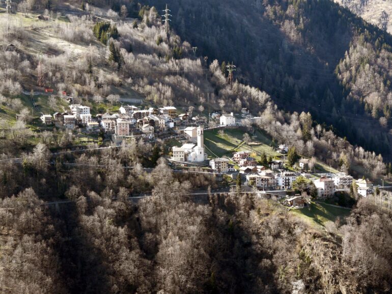 Pedesina