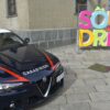 Rissa notturna a Sondrio: arrestato un 35enne per aggressione ai Carabinieri e maltrattamento di animali