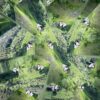 Inizio giugno in Val Tartano: arte e natura per tutta la famiglia