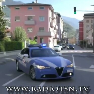 Operazione antidroga nei boschi della Valtellina