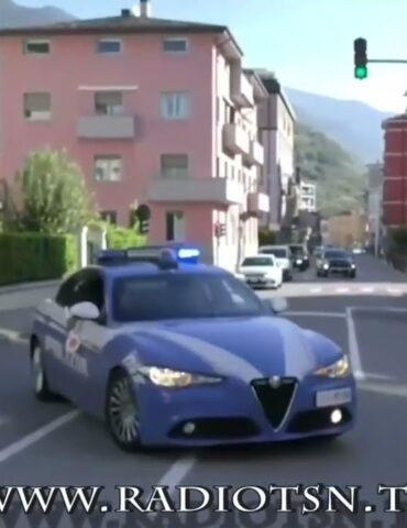 Operazione antidroga nei boschi della Valtellina