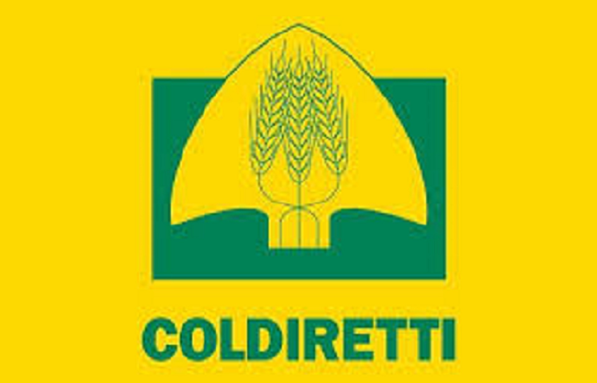 Sfondo