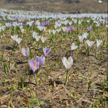 Adattarsi ai cambiamenti climatici: parte da Chiavenna un progetto europeo guidato dalla Comunità Montana