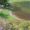 Aperte le Iscrizioni al Corso di Laurea Triennale in “Valorizzazione e Tutela dell’Ambiente e del Territorio Montano” (Classe L-25)