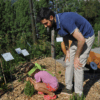 IN VALMALENCO IL FESTIVAL DELLE PIANTE OFFICINALI