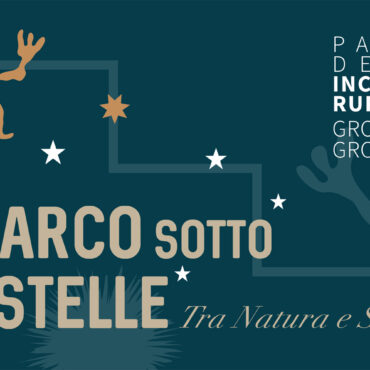 Parco sotto le stelle: le visite guidate in notturna