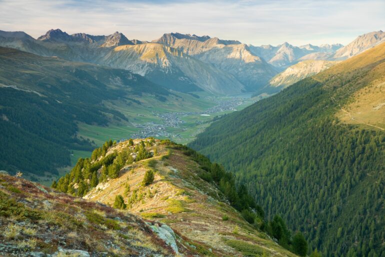 Summer Landscape 4