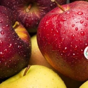 CRISI MELAVÌ, BEDUSCHI E SERTORI INCONTRANO LE AZIENDE FRUTTICOLE VALTELLINESI