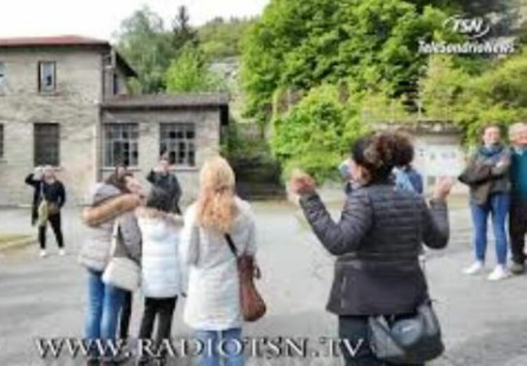 monte salute tsn