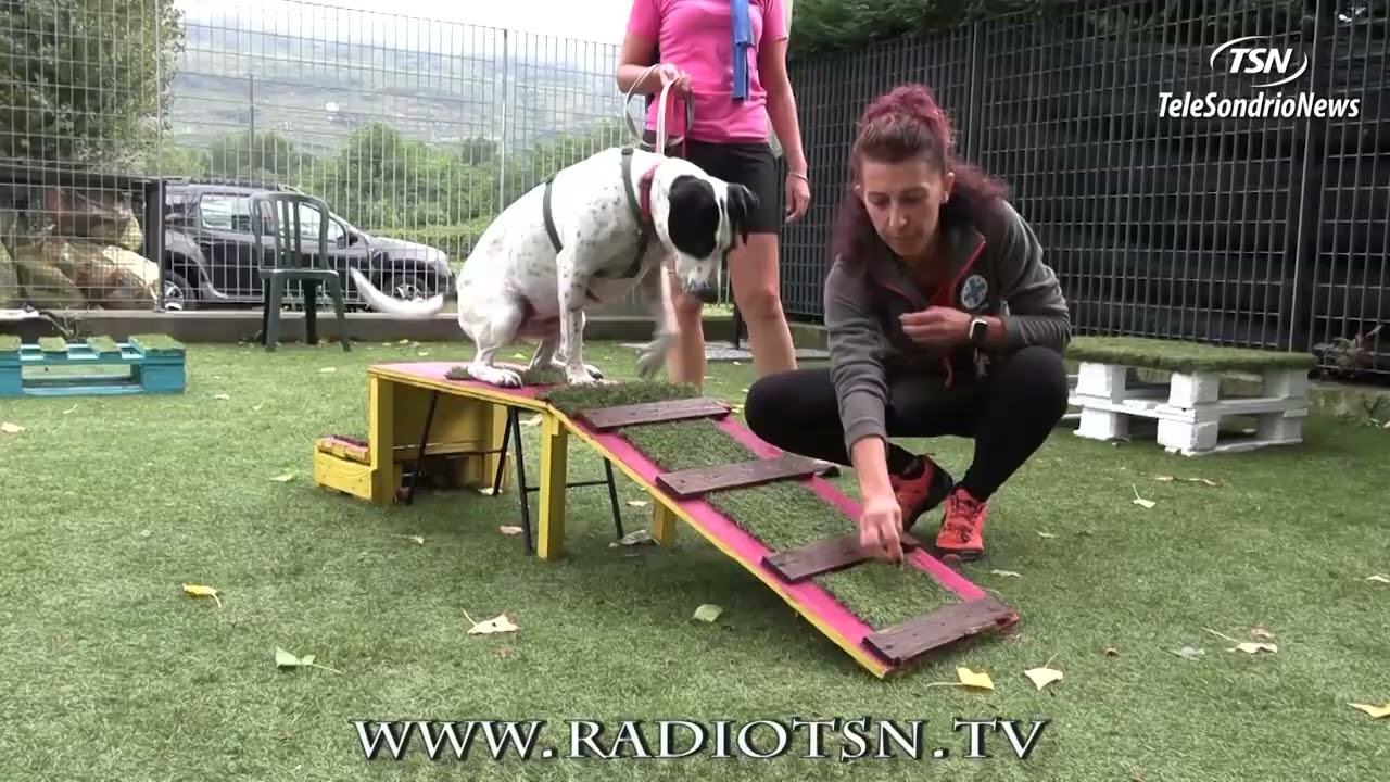 Sfondo