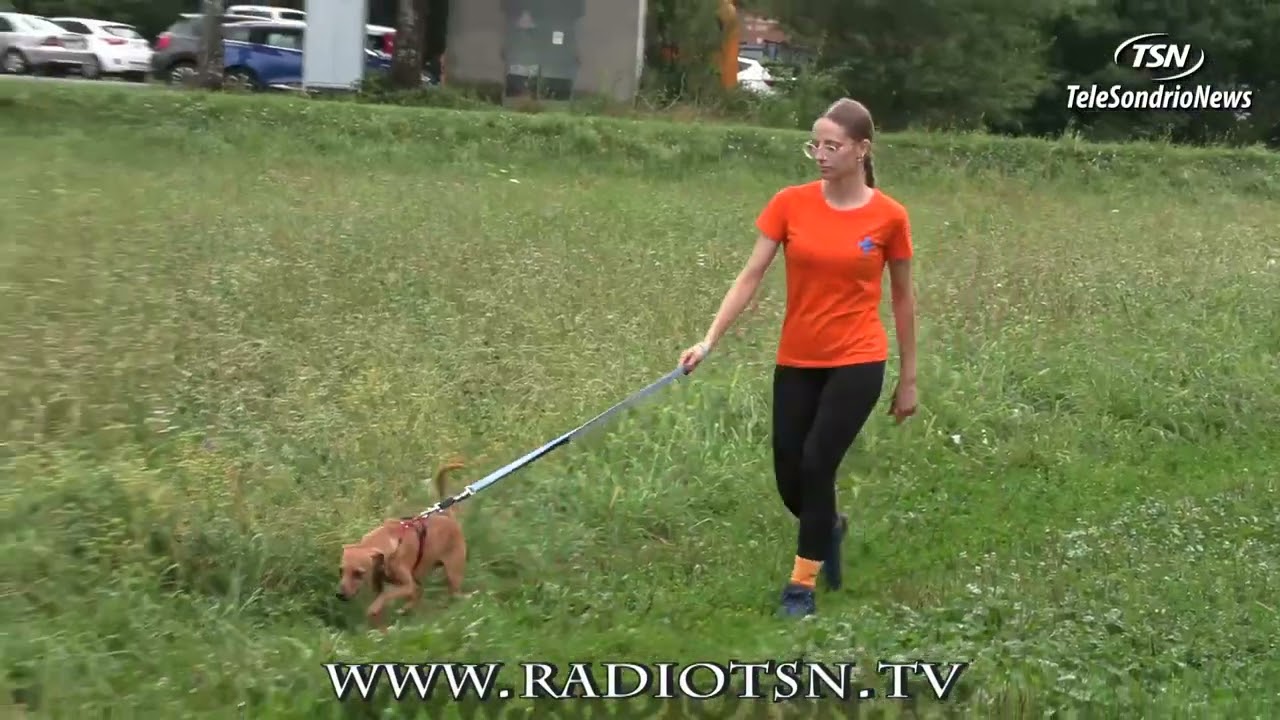 Sfondo