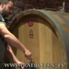 42° Grappolo d’Oro. Il futuro del DOCG è qui