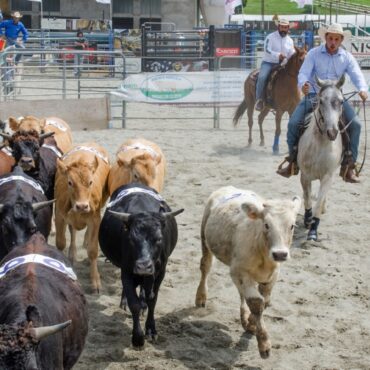Valsassina Country Festival 2025: a Barzio la 10ª edizione insieme alle Manifestazioni Zootecniche Valsassinesi