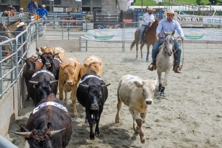 Valsassina Country Festivall