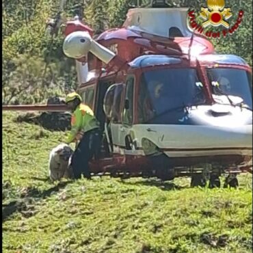 Vigili del fuoco in azione per recuperare Neve, cagnolona finita in un dirupo a 200 metri di profondità