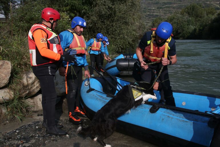 cani acqua
