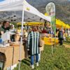 Scargaàmuut: è festa tra Albosaggia e Caiolo