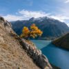 Sapori d’Autunno a Livigno: 8 esperienze gastronomiche tra tradizione, creatività e accoglienza alpina