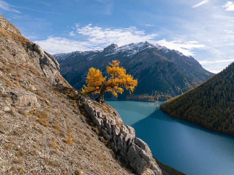 Autumn Landscape 1