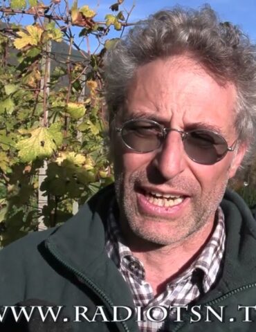 Vendemmia 2025, il vino valtellinese verso le Olimpiadi