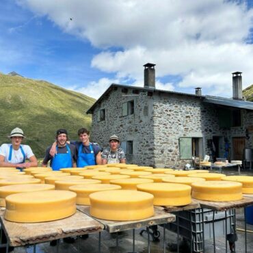 I formaggi Pedranzini trionfano alla 118^ mostra del Bitto