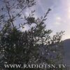 Sondrio può fare meglio ma l’ambiente la tiene ferma al 46° posto