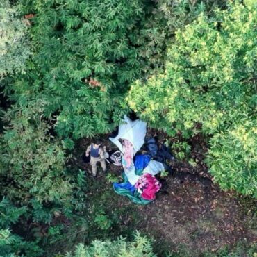 BLITZ ANTIDROGA NEI BOSCHI DI TALAMONA. RINTRACCIATO E ARRESTATO DALLA POLIZIA DI STATO DI SONDRIO IL PUSHER DATOSI ALLA FUGA