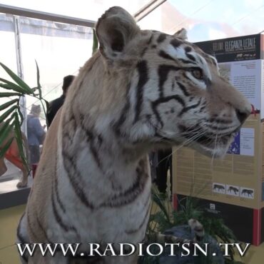 Sondrio Festival 2025, la natura si prepara ai Giochi