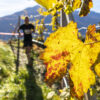 APF Valtellina protagonista alla Rigamonti Valtellina Wine Trail 2025