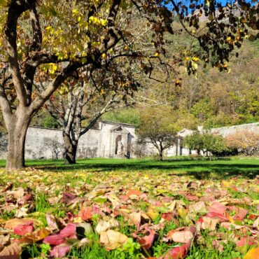 Palazzo Vertemate Franchi: aperture e visite guidate a novembre 2025