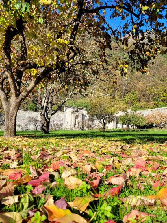 Palazzo Vertemate Franchi: aperture e visite guidate a novembre 2025 1 20241101 144444